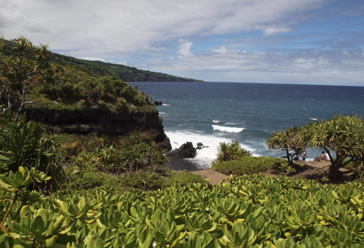 How Did Maui Residents Spend Their Time Online In 2025?